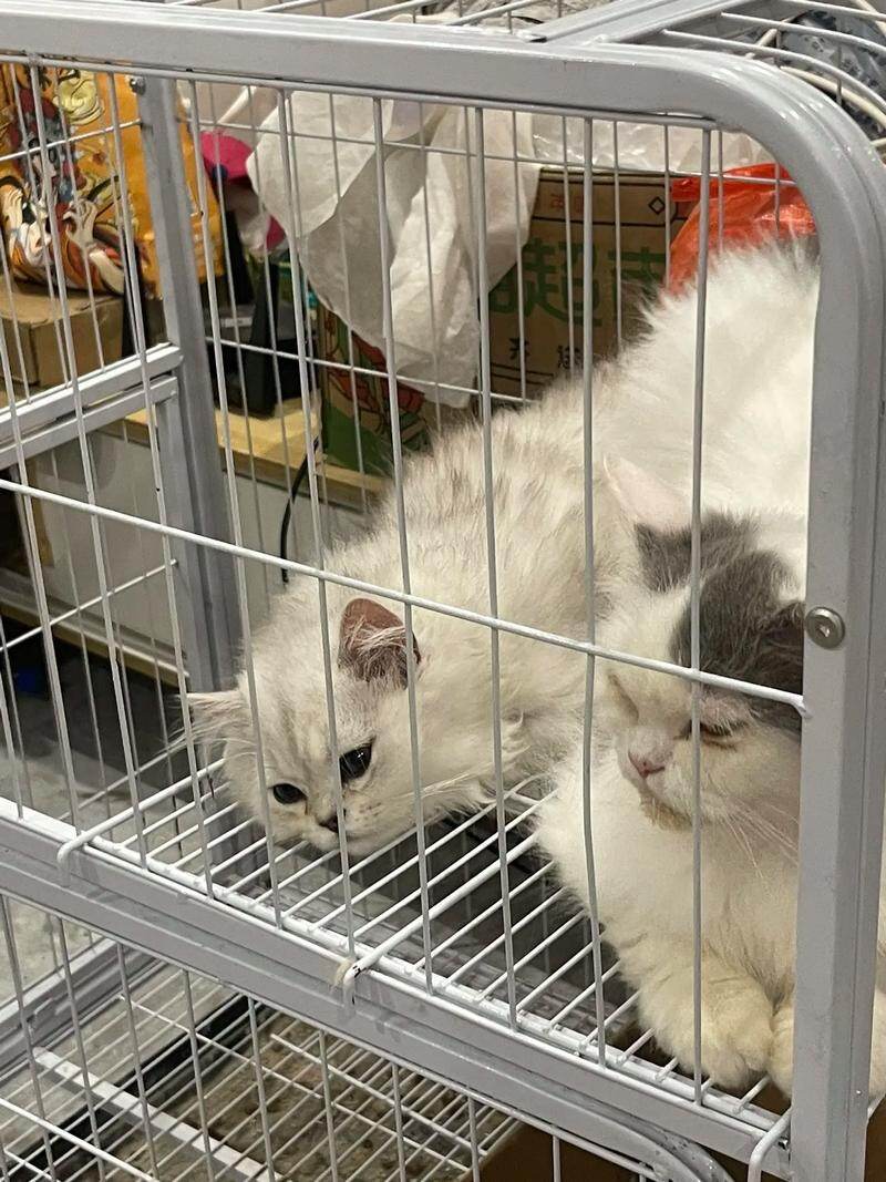 你是我最后的风景