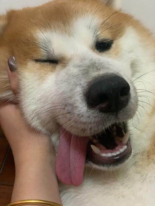 情绪控　　2НeаЯt▲