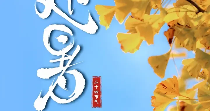 bc59c728b01342debd6b2a17ed0e8ad5.webp