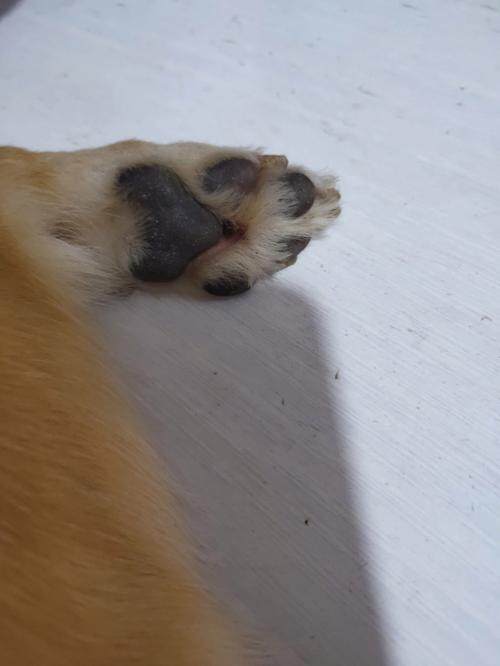 丫旳丶妳抽風