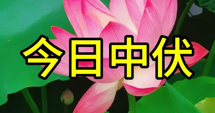 1c8adbf40a604560a7eaa19e4e54b260.webp