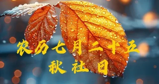 dc0762f9531a44f388c6ee970b60484b.webp
