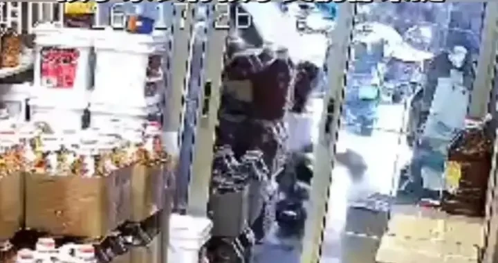 03c277455058429e8bf9d6d6f0784a82.webp
