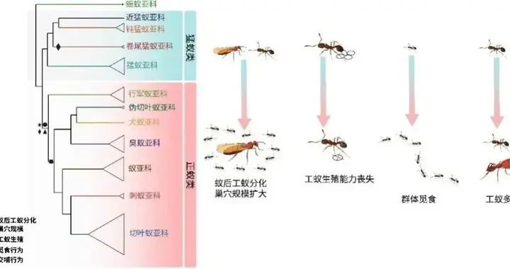 a3c225393a7e449aa0142f24396691d9.webp