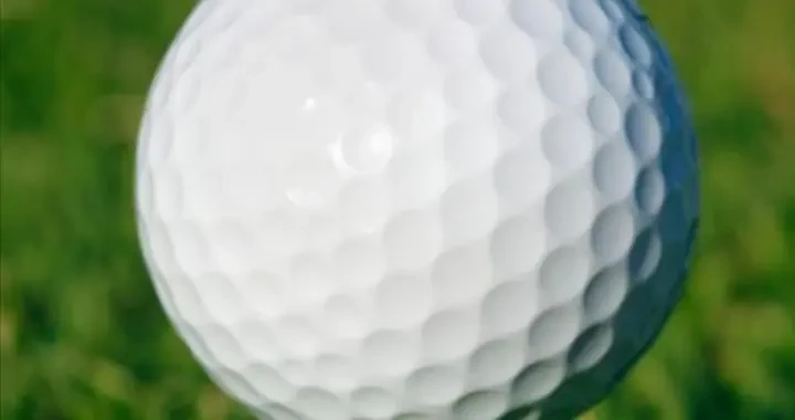 d67c685d6aac4e539d0a62e188871474.webp