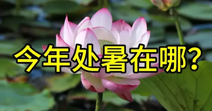 386dcd9709964ac3a66cc44510100029.webp