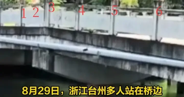 f99f26ac2bca4d82ac121aa059fa8e4f.webp