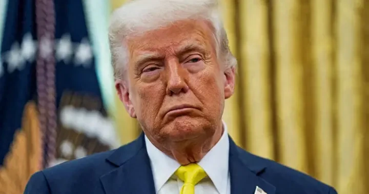 f0d275f4c4b940d49b0deb19fa5d2195.webp