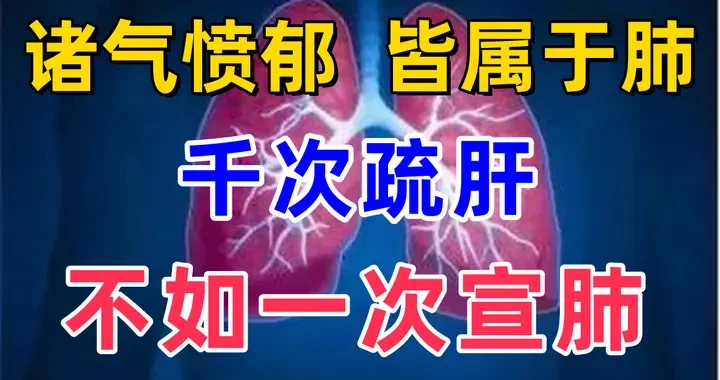 41c23697710849418c394d20a0e9cce7.webp