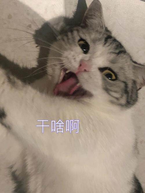 Sense of direction. 方向感。