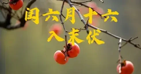 3f68e35d500e4e78b0e33e994fcd3d14.webp