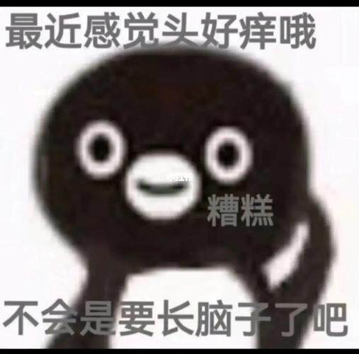用户251839