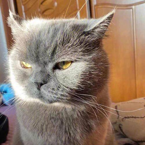 回忆的少年柔情 コ