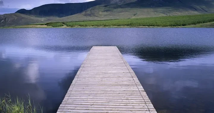 1b366977da744625a4284a0bf00df6db.webp