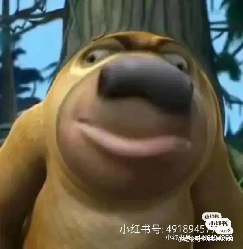 用户666822