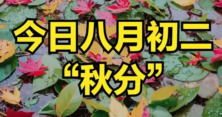 cd55e1a1a92e45e89cb89011343ae839.webp