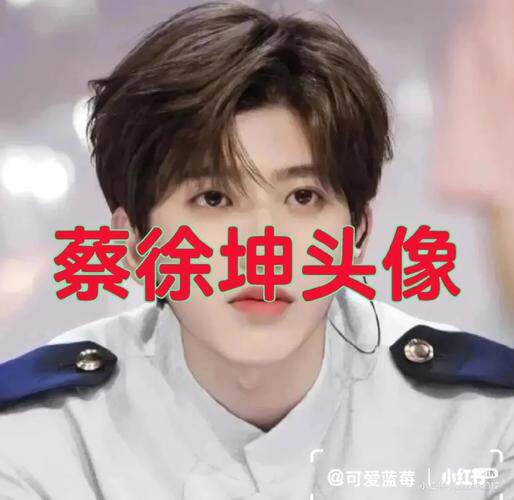 不必敷衍我.