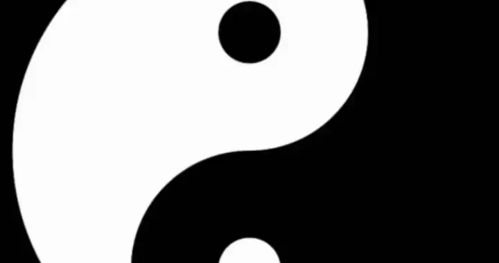 c80ff6d1140349679b400eba19322083.webp