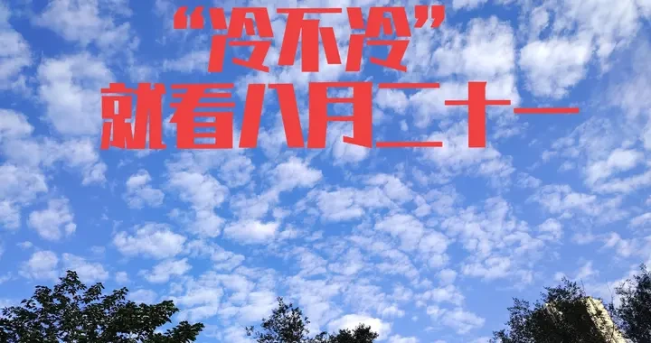 c52844d1b9a646db82c9d106a23f1418.webp