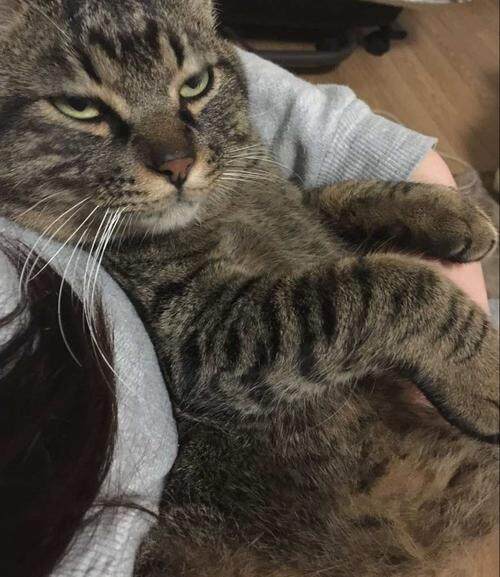 卖萌的妹子