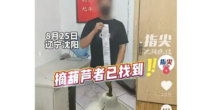 71884e69065647ae911500c956a64d07.webp