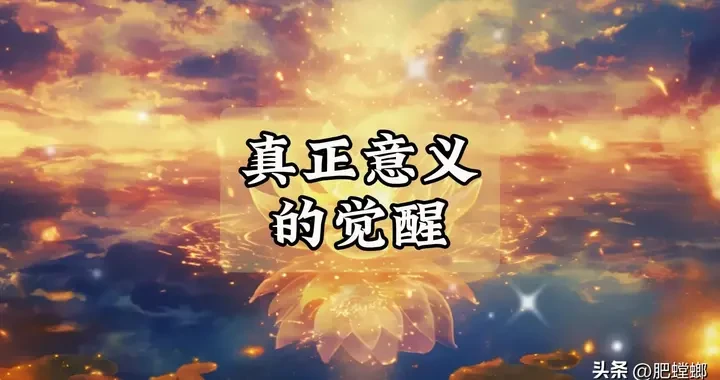 ef28126a40d9422eb31e47945e9cb213.webp