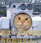 b3f7ad5e20854bde94ff9cbce47c83fe.jpg
