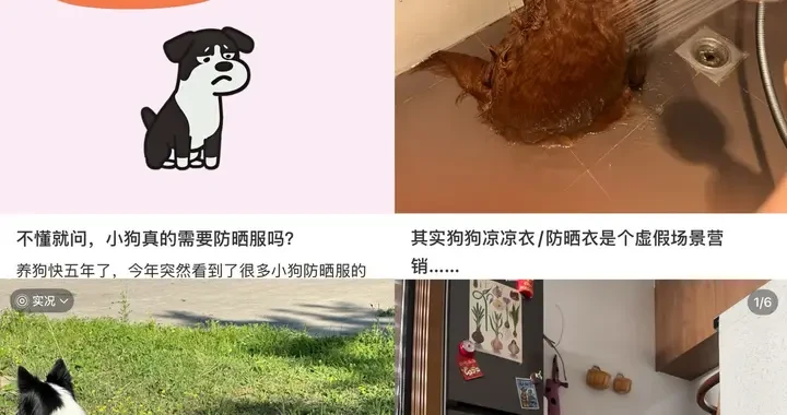 22c53da784c44ea8982acab5394691f1.webp