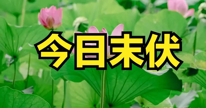 d6a2d089188645f6a636320008124b59.webp