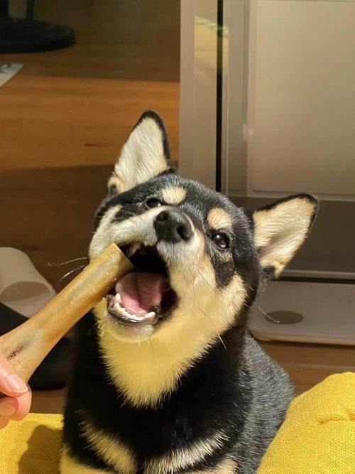 王者feelつ莫紫萱
