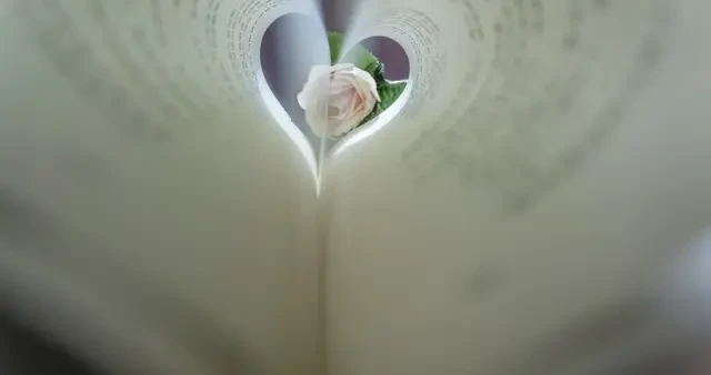 387fa7c9d88c4b9b9c76952d99e1f21e.webp