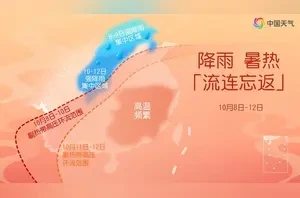 2ec787ba95b04f5d9fa77e4531526bad.webp