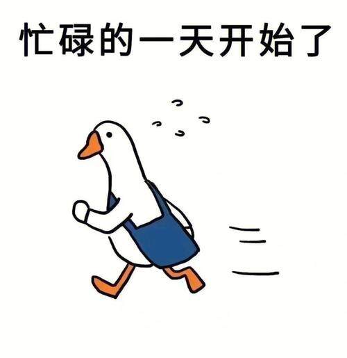 用户924037