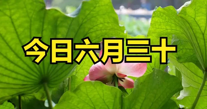 f28ea090d1064118915b10488f3826c2.webp