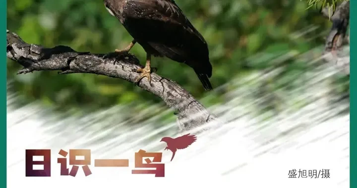 6f070a11e852413e80780a4ca43a8dac.webp
