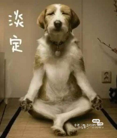 精神病院17床