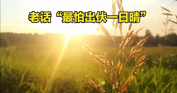 19e9856f18ab41a48fd91cc22a3394f5.webp