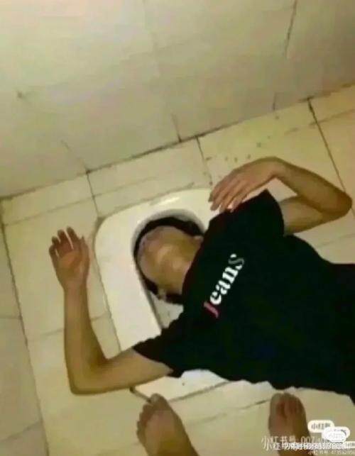 ‘愛情森林