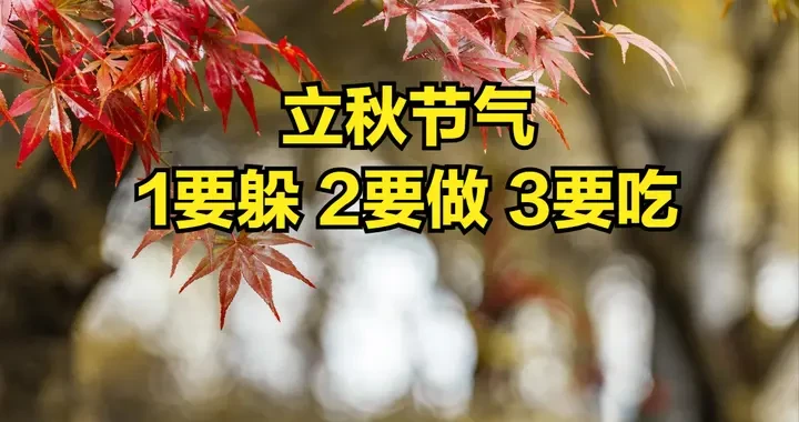 f96fd333cc394bd18a70a3df7c372478.webp