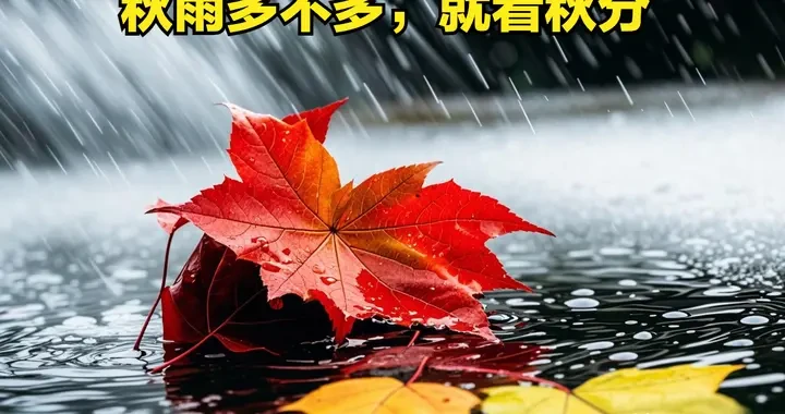 f8540ef4b59948f9861ef328c018127d.webp